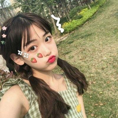 蠢狗记